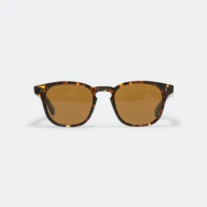 Ace II Sun 49 - Agate Tortoise/Semi Flat Pure Coffee