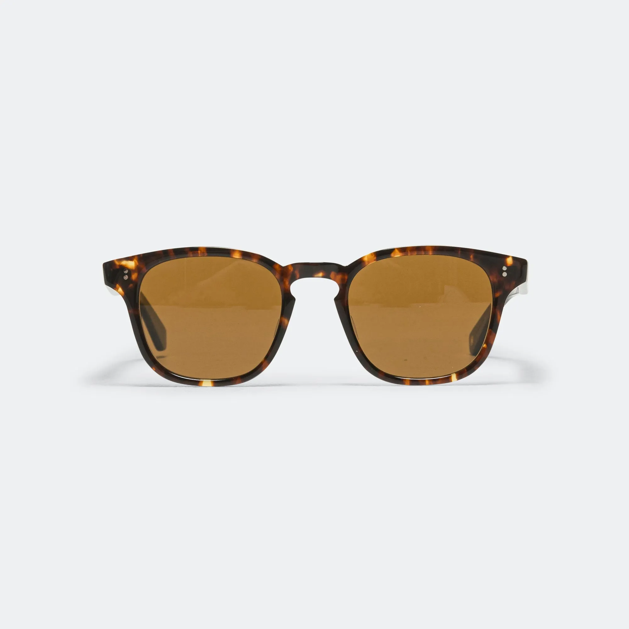Ace II Sun 49 - Agate Tortoise/Semi Flat Pure Coffee
