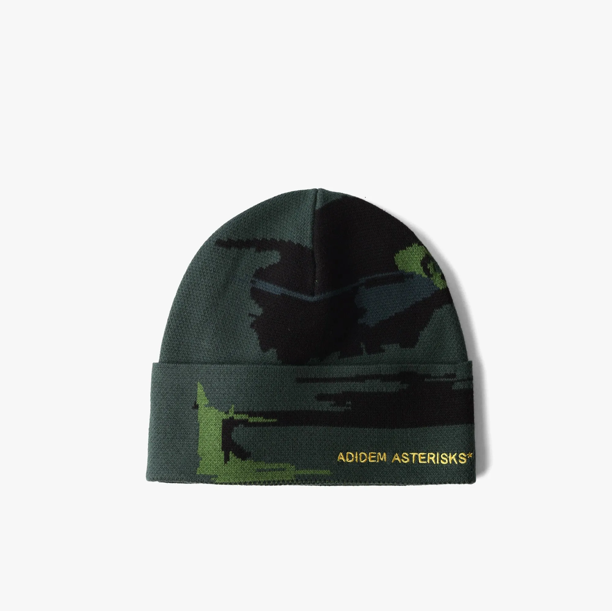 Adidem Asterisks Intarsia Beanie / Green
