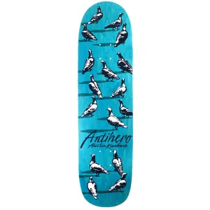 Anti Hero - Austin Kanfoush Dawn Of The Pigeon 8.55 Skateboard Deck